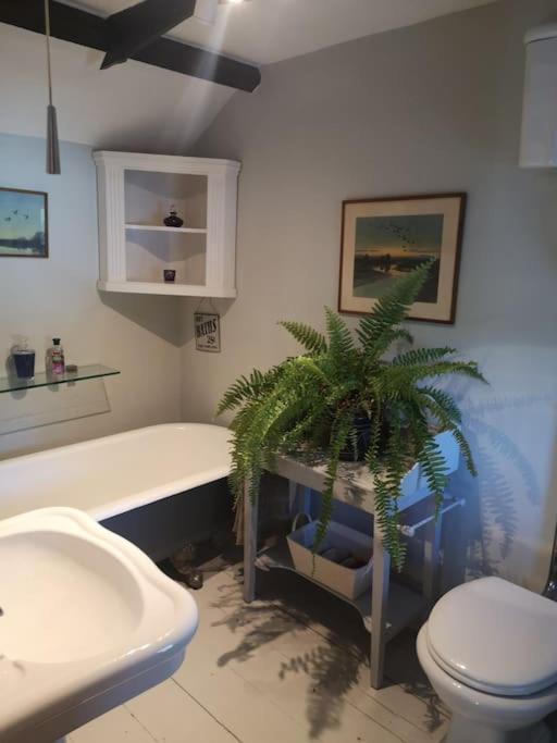 Heath Cottage Lower Southrepps North Norfolk Cromer Esterno foto